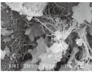 モルデナイト（繊維状）